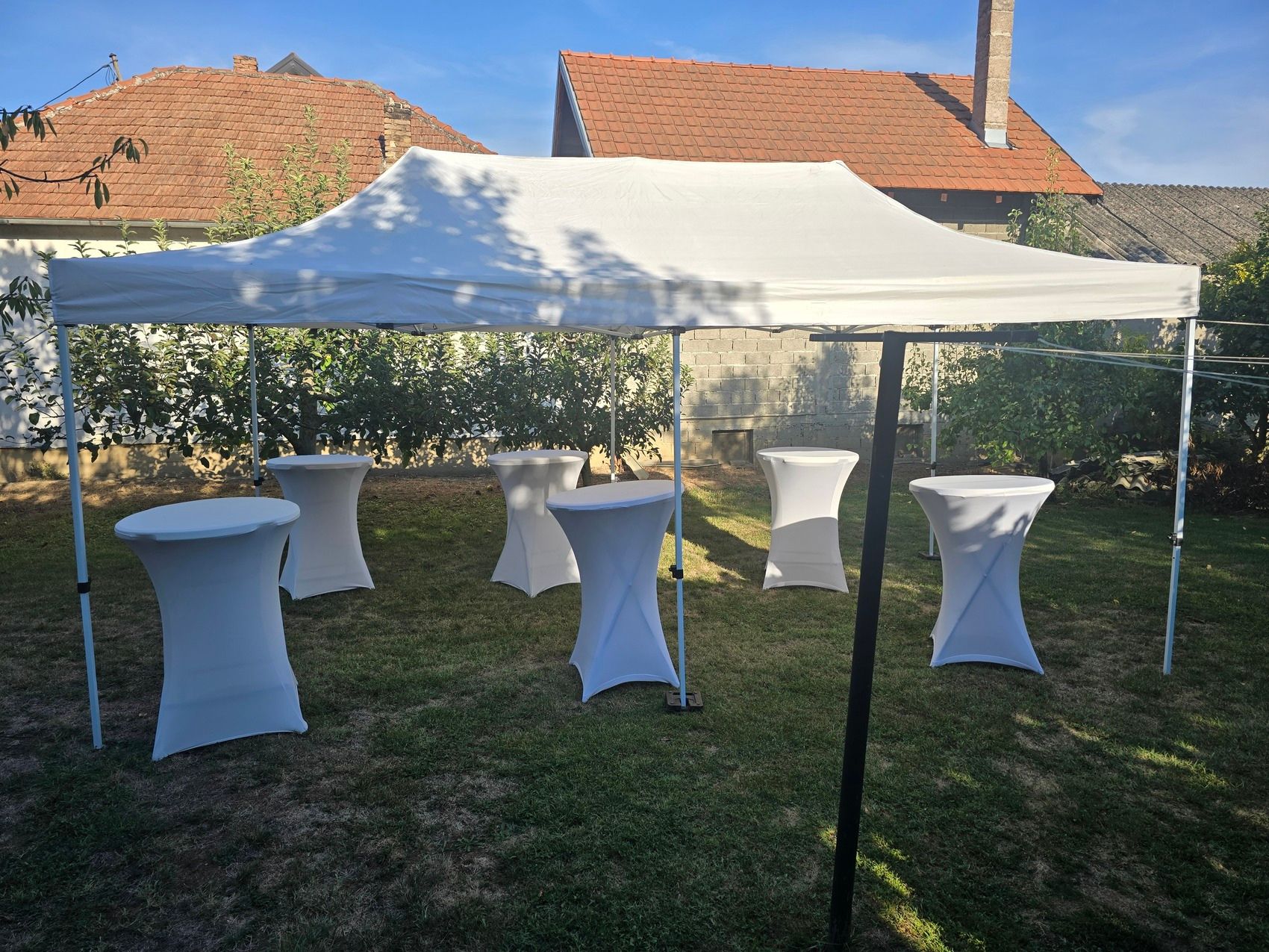 Untitled design (10)